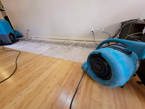 Professional Water Extraction technician working in Superior, AZ